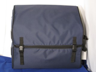 Dividing case for easy transport